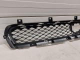 Lower Grille 